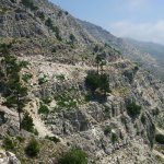balazsh 2011
